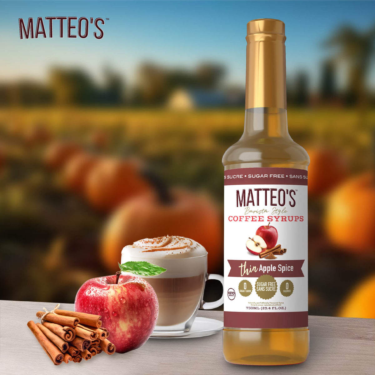 Sugar Free Coffee Syrup, Apple Spice (1 case/6 bottles)