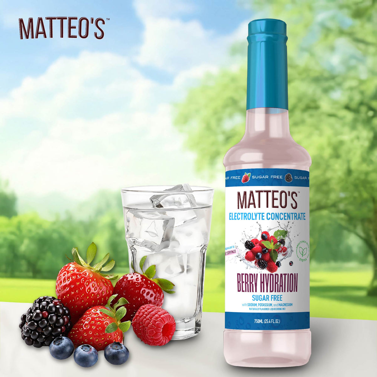 Matteo's Sugar-Free Hydration Concentrate - Berry  (1 case/6 bottles)