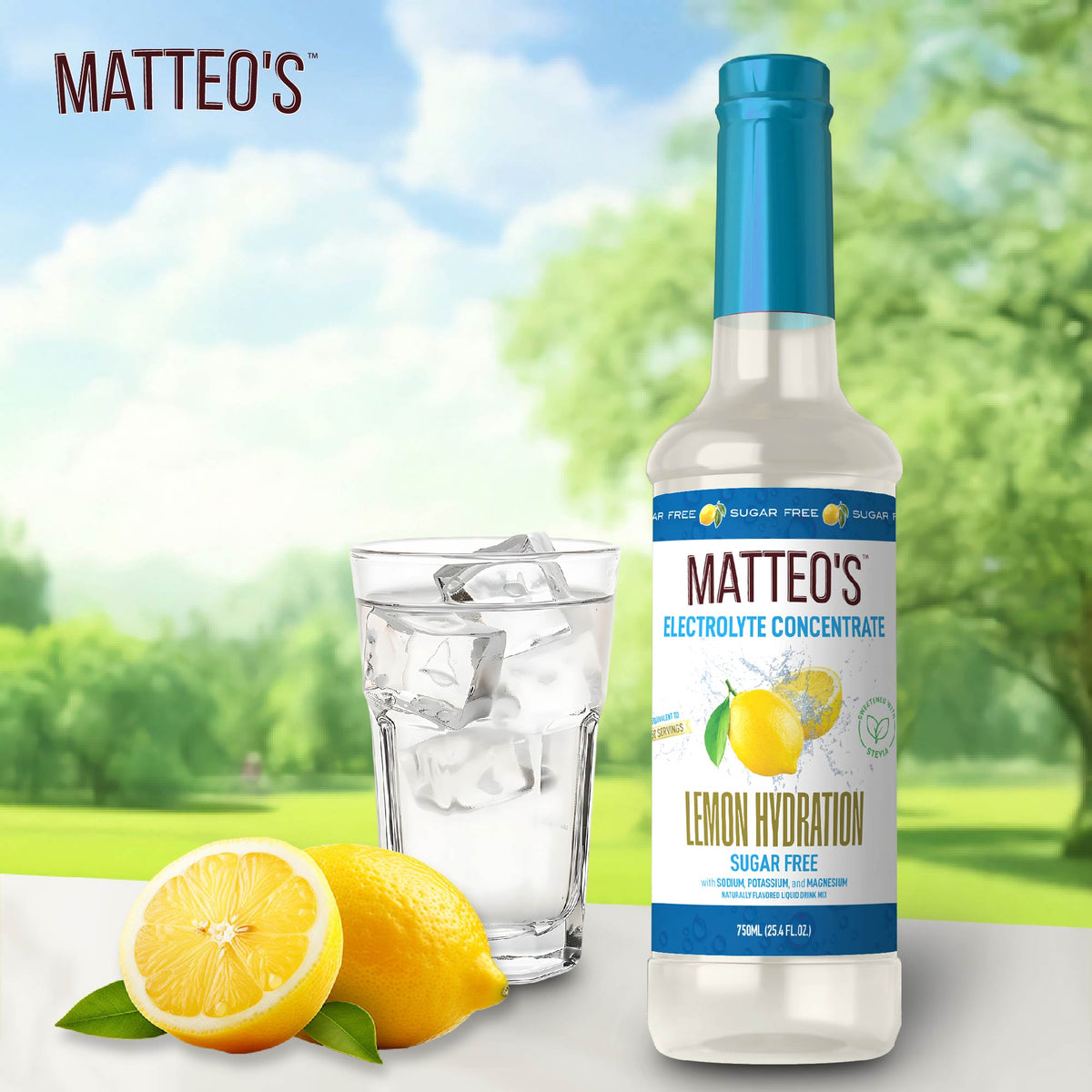 Matteo's Sugar-Free Hydration Concentrate - Lemon  (1 case/6 bottles)
