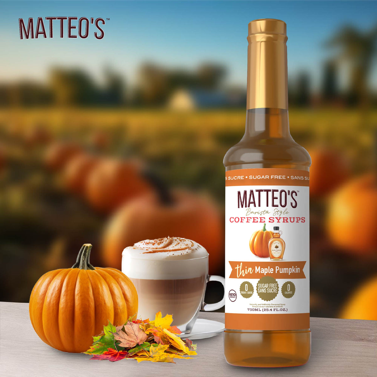 Sugar Free Coffee Syrup, Maple Pumpkin, (1 case/6 bottles)