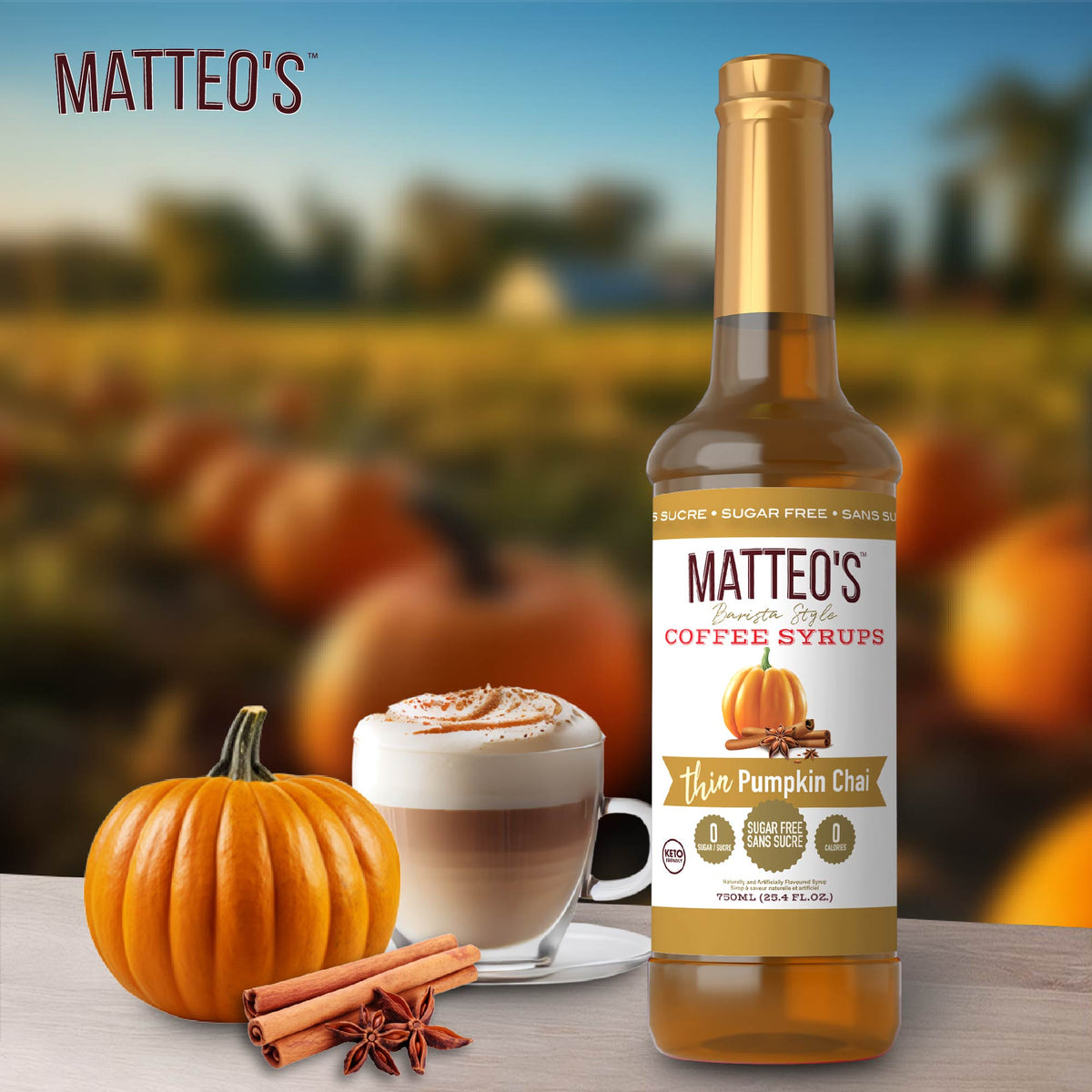 Sugar Free Coffee Syrup, Pumpkin Chai (1 case/6 bottles)