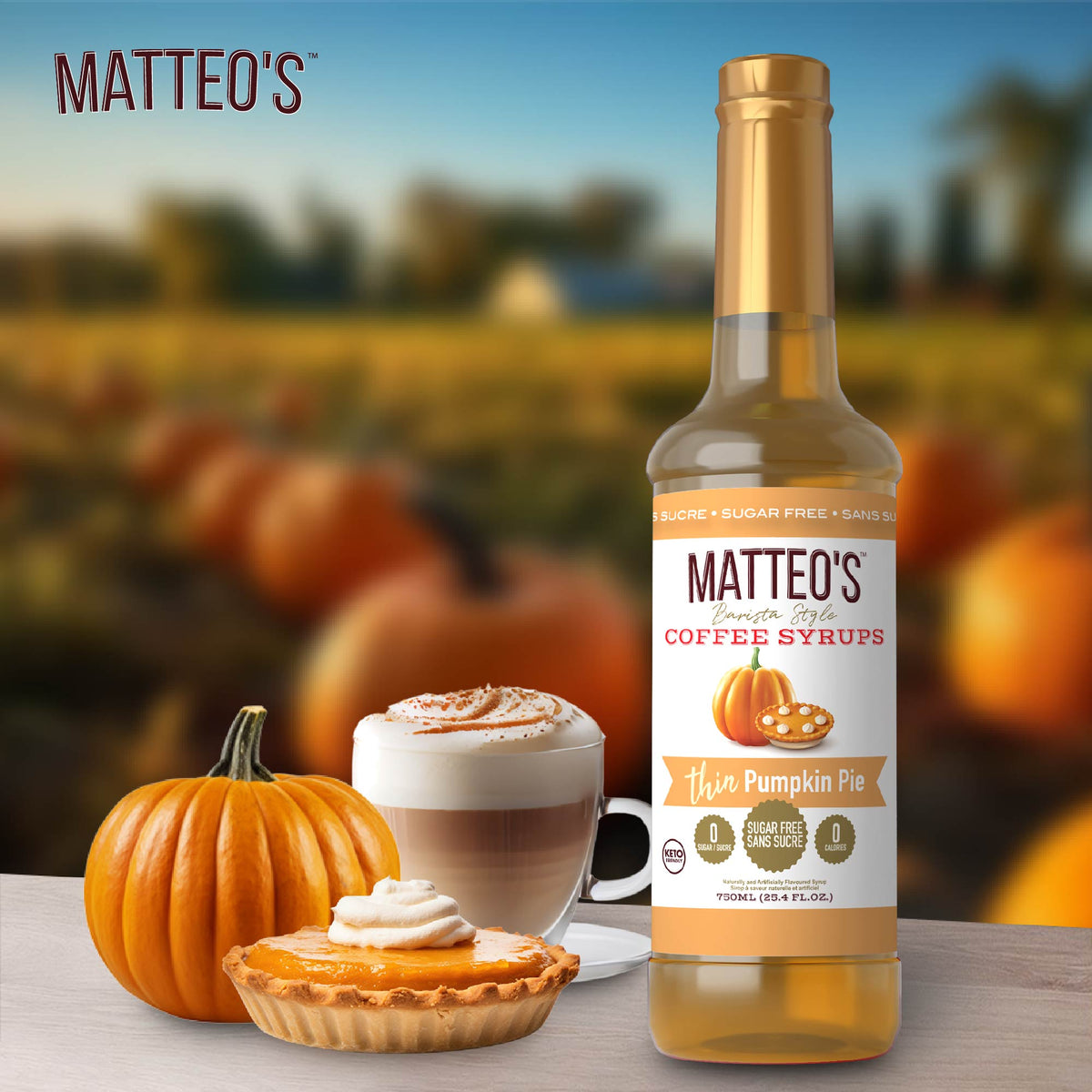 Sugar Free Coffee Syrup, Pumpkin Pie, (1 case/6 bottles)