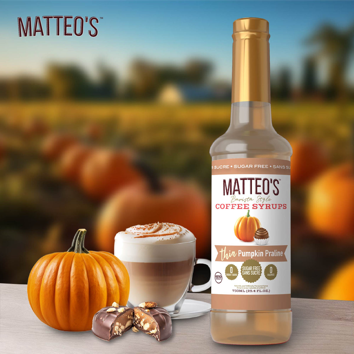 Sugar Free Coffee Syrup, Pumpkin Praline, (1 case/6 bottles)