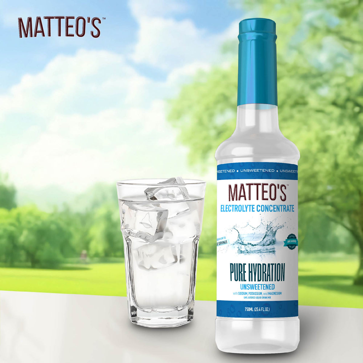 Matteo's Sugar-Free Hydration Concentrate - Pure  (1 case/6 bottles)