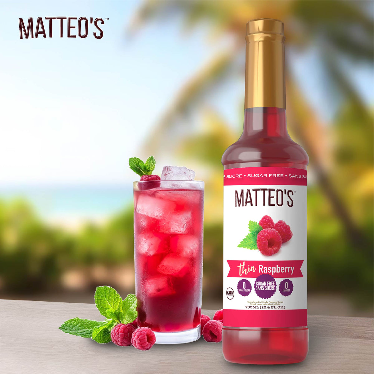 Sugar Free Mix - Raspberry (1 case/6 bottles)