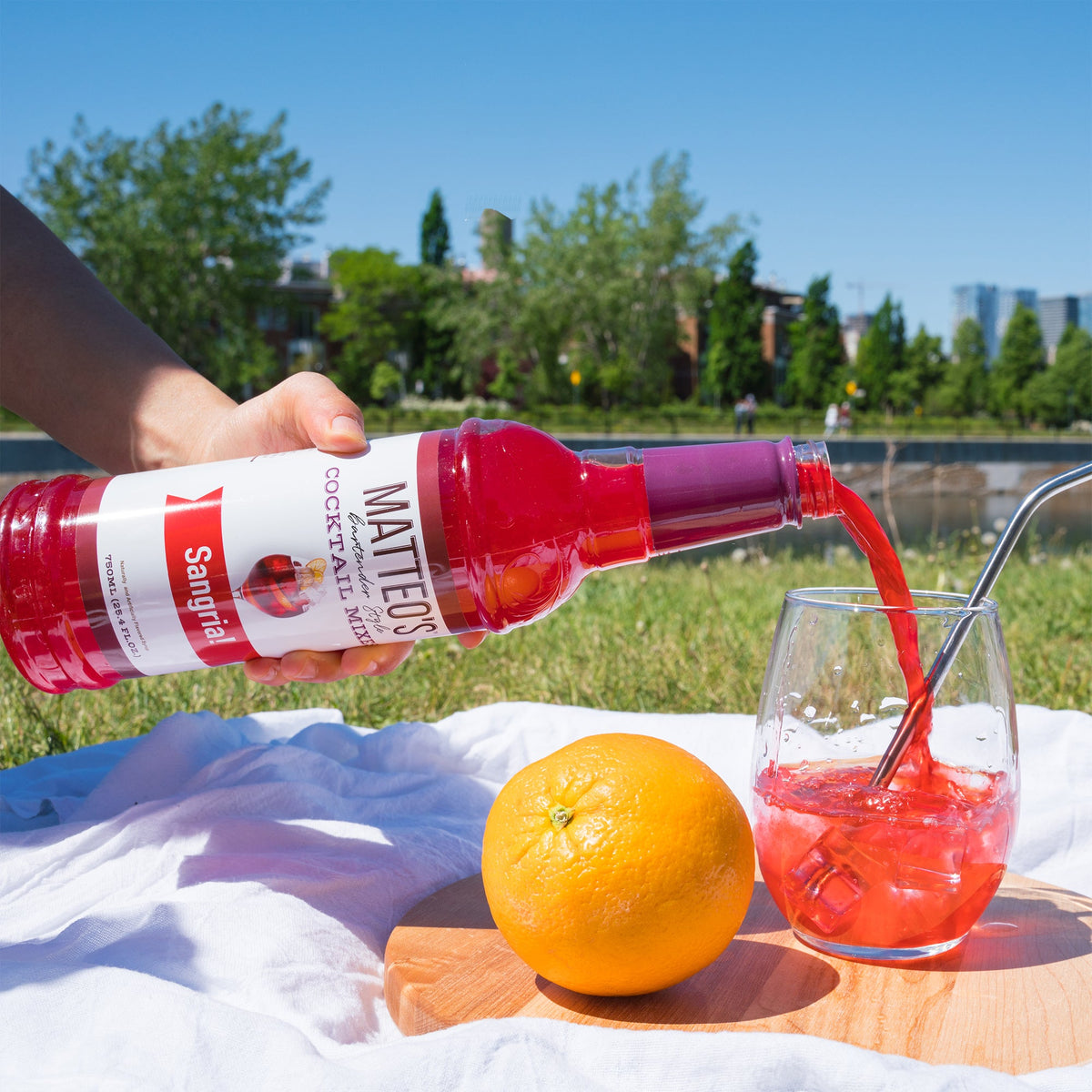 Matteo's Sugar Free Syrup  - Simple Syrup (1 case/6 bottles)