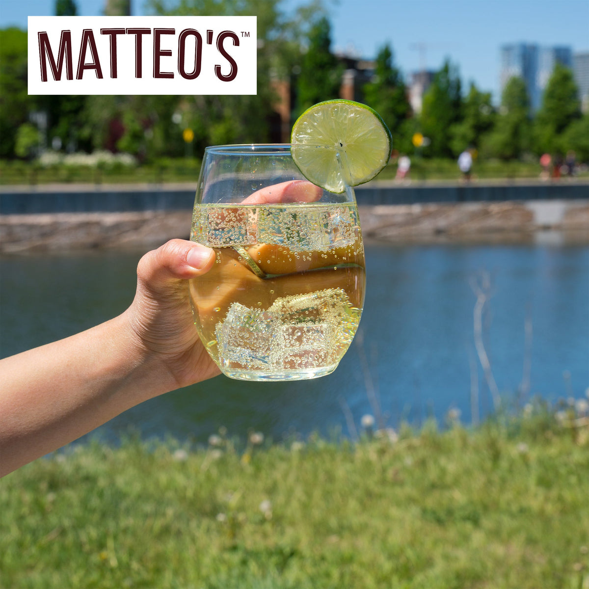 Matteo's Sugar Free Syrup  - Simple Syrup (1 case/6 bottles)